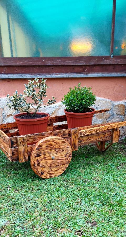Bed And Breakfast Monticelli Capranica エクステリア 写真