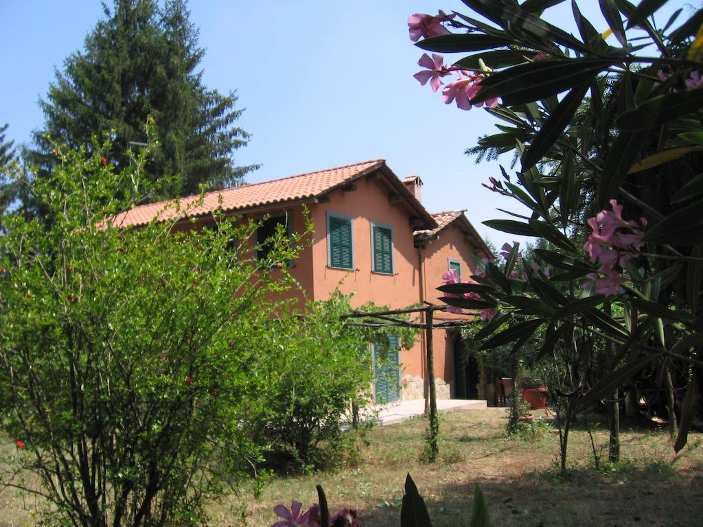 Bed And Breakfast Monticelli Capranica エクステリア 写真
