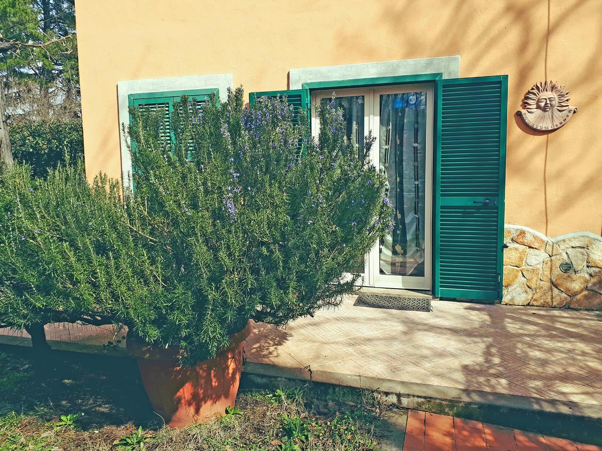 Bed And Breakfast Monticelli Capranica エクステリア 写真